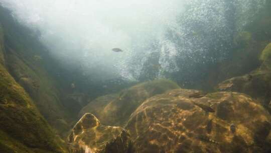 河边小溪河底海底水下世界流水岩石光影升格