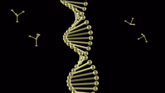 DNA链肽链展示4k带通道