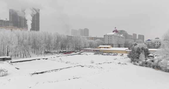 冰雪覆盖树木的冬季雪景航拍画面