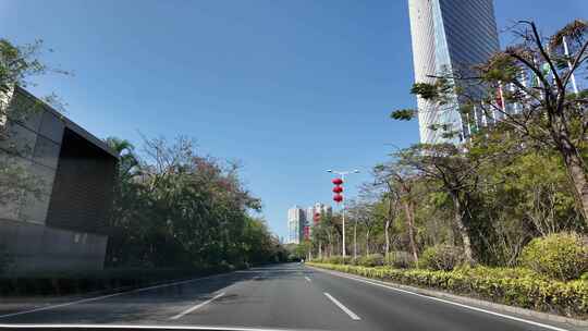 绿树成荫的城市道路景象