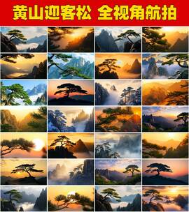 安徽黄山迎客松松树黄山美景打卡地标高清在线视频素材下载