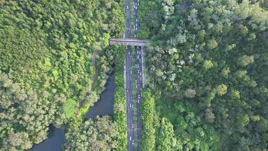 山林间道路航拍