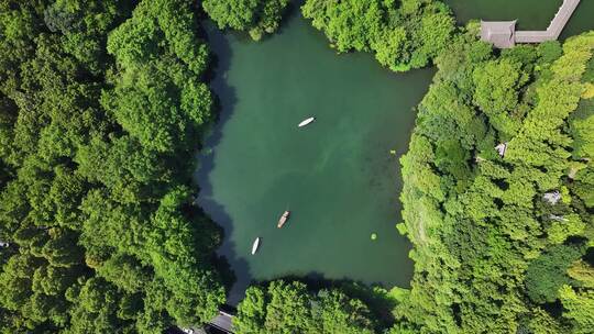 杭州西湖浴鹄湾视频素材模板下载