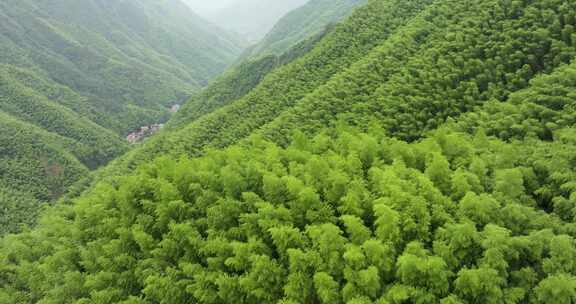 浙江湖州安吉竹海竹林竹山航拍