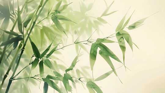 中国风水彩竹子