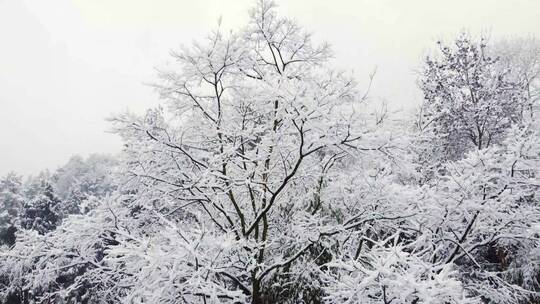 无人机视角下的雪景