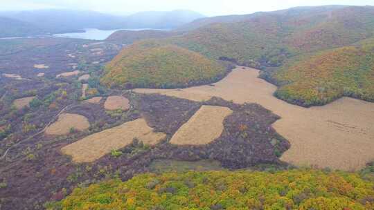 航拍牡丹江火山口森林公园黑土地及秋季彩林