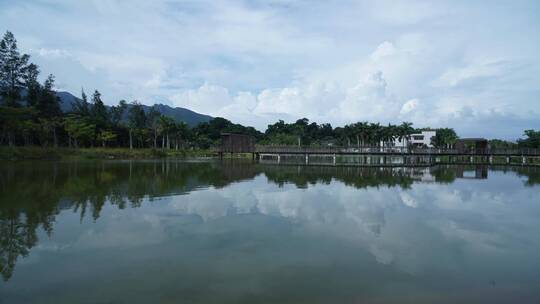 延时拍摄水倒影深圳坝光银叶树湿地园风光