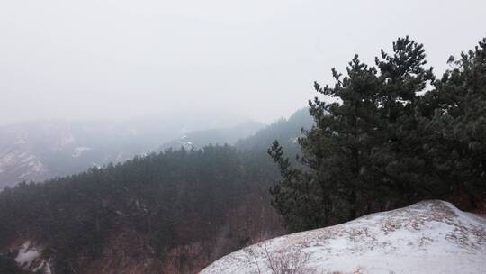 大雪纷飞的山林4K素材