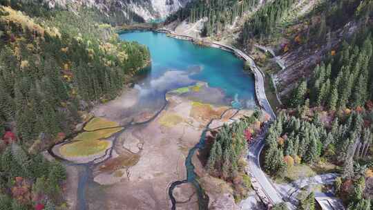 航拍九寨沟秋景彩林川西秋天原始森林五花海