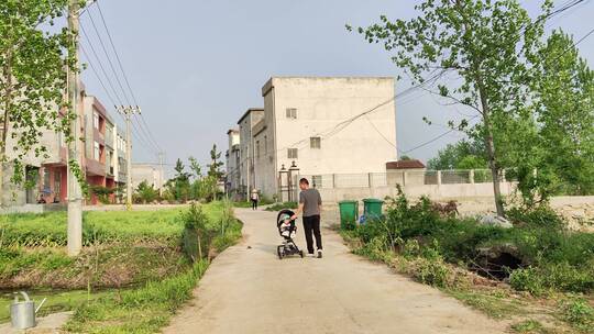 疫情城市农村街道菜园春天绿色植物