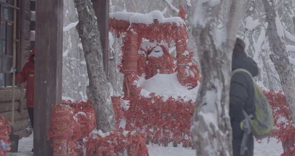 雪地中的红丝带装饰