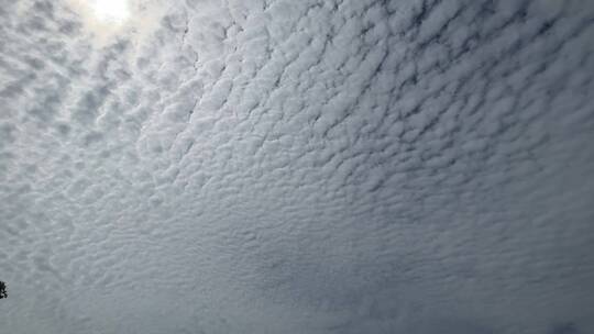 鱼鳞状天空云层