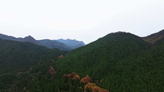 【合集】庐山如琴湖 航拍