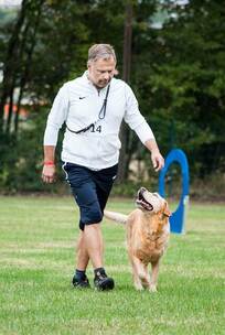 号角的召唤 激励 部落 打击 原始 脚 号角的召唤 激励 部落 打击 原始 脚