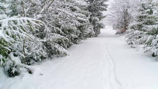 4K冬日冬季滑雪雪景雪山树林湖面云彩海面