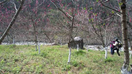 高岚大峡谷风景区·4K航拍