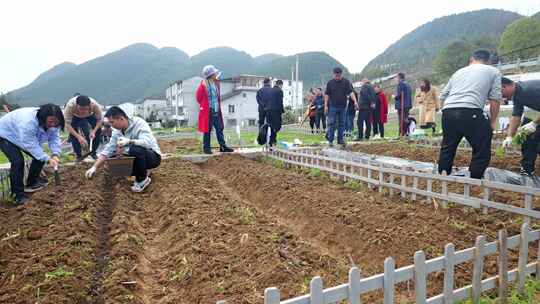 劳动空镜刨土锄地农场工人耕作劳作翻土