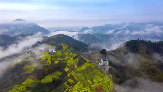 皖南歙县坡山油菜花云海航拍延时摄影