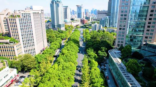 杭州西湖景区西湖大道风景视频素材