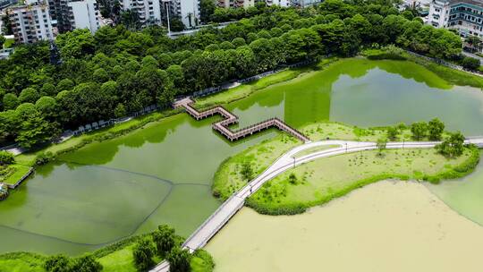 南湖城市风光视频素材模板下载