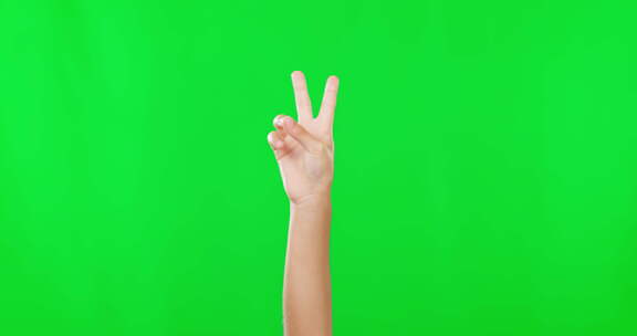 工作室里和平标志的手、绿屏和特写镜头，用
