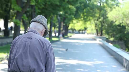 公园里散步的老人背影