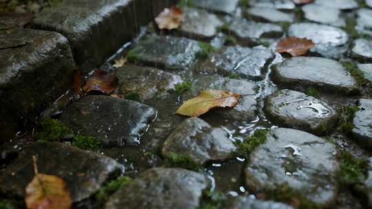 苏州立秋雨后石板路古镇意境视频