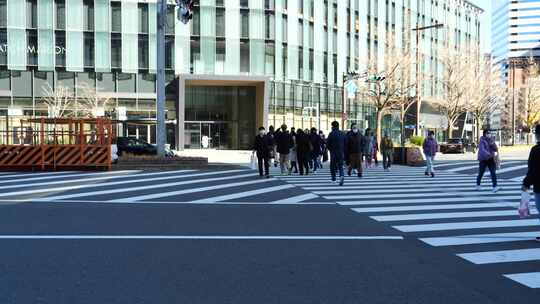 日本白塔