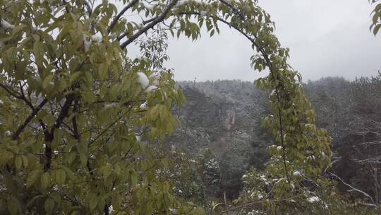 农村下雪场景，天然石佛，下水大佛