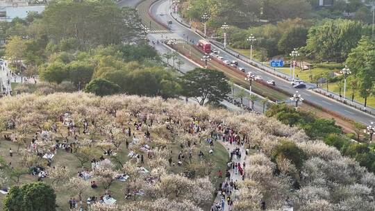 中国广东省广州市黄埔区市民广场梅花