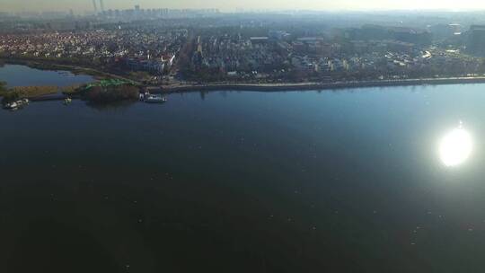 空中俯视成群海鸥在云南滇池飞翔