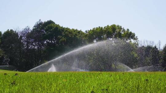 城市草坪洒水喷水逆光升格视频