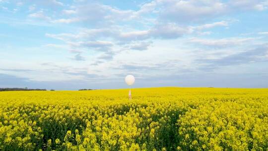 黄色花田里的白色气球视频素材模板下载