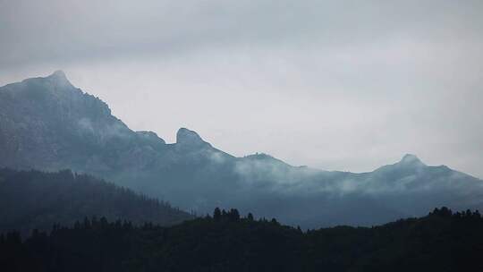 山峰森林云雾