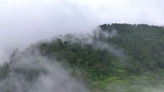 震撼高山云海航拍（福州鼓岭）