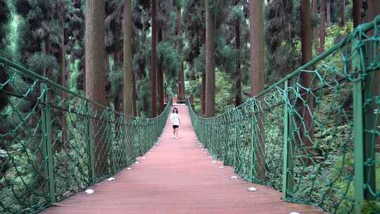 峨眉山 七里坪 公园 森林 青山绿水