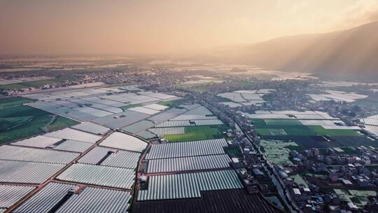 4k航拍云南蔬菜大棚种植基地 14