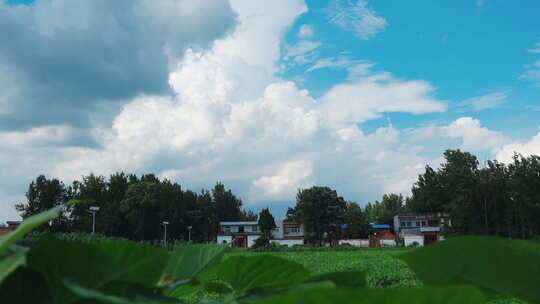 河南农村风景