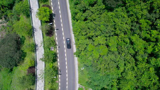 海边公路（汽车）玫瑰海岸风景