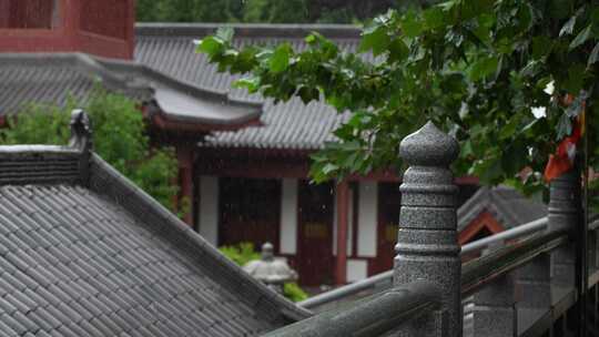 雨天屋檐下雨雨水惊蛰禅意古风清明大暑