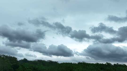 阴天森林乌云飘过树林阴雨天森林大景松树林