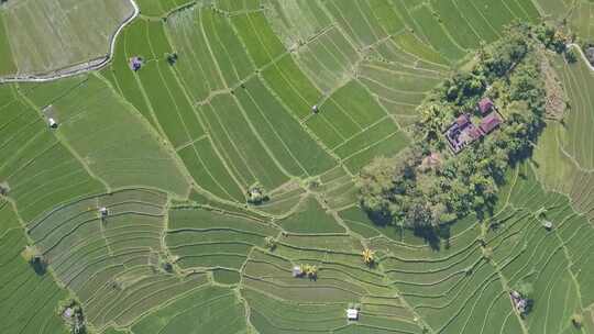 4k航拍农村乡村农田风景