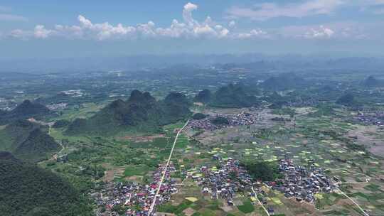 田园风光水稻产业化种植