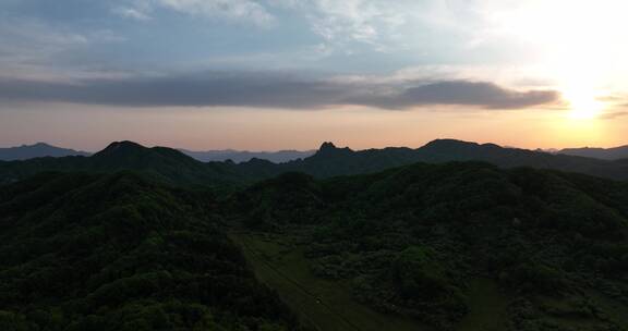 高山草原牛羊牧业森林氧吧大自然风光