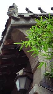 4K竹子与古建筑素材