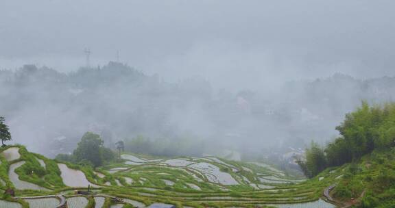 江南田园梯田烟雨朦胧风光