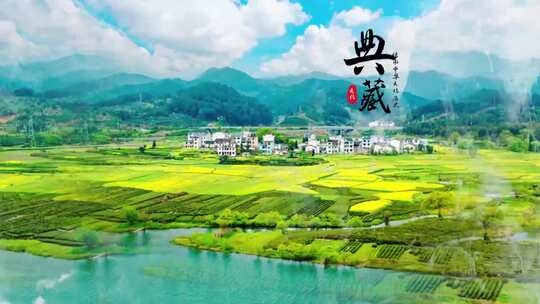 中国风水墨图文包装展示