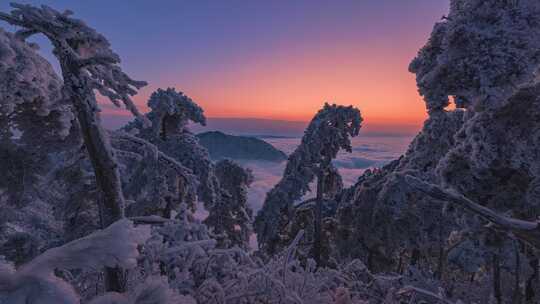 安吉桐杭岗森林雪景云海日落霞光延时