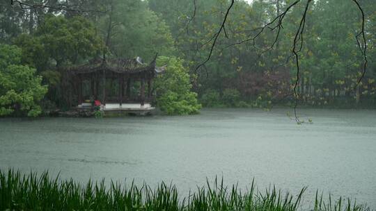 157 杭州 风景 古建筑 下雨天 亭子 树枝
